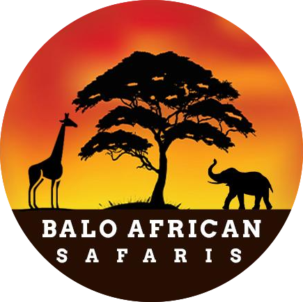 Balo African Safaris
